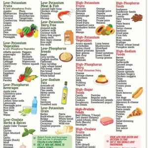 Magnetic Kidney Friendly Food List Poster 8"x10", Kidney Awa...