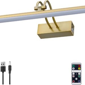 Picture Lights for Wall,Battery Painting Light with Remote D...