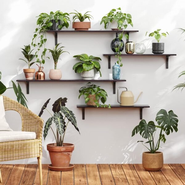 DINZI LVJ Long Wall Shelves, 23.6 Inch Wall Mounted Shelves ... - Image 2