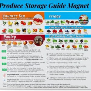 Produce Storage Guide Magnet - How to Store Food Magnet for ...